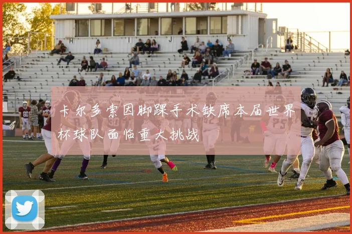 卡尔多索因脚踝手术缺席本届世界杯球队面临重大挑战