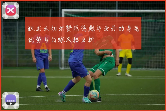 狄龙米切尔赞范德彪与麦丹的身高优势与打球风格分析